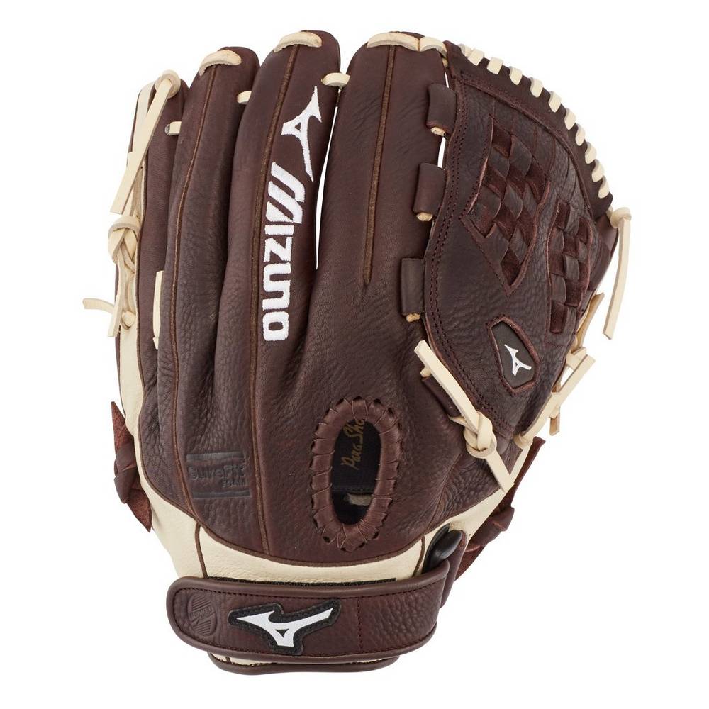 Damske Rukavice Mizuno Franchise Series Fastpitch 12" Softball Káva/Strieborne Vypredaj FMSW49120